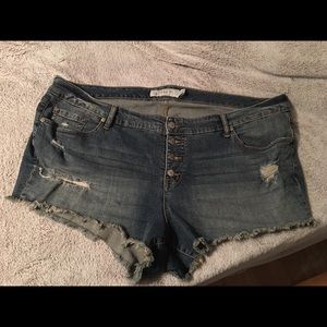 Torrid jean shorts